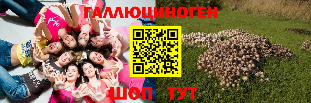 Псилоцибиновые грибы прущие грибы  Галлюциногенные грибы мухоморы  Вход с VPN  Саяногорск 